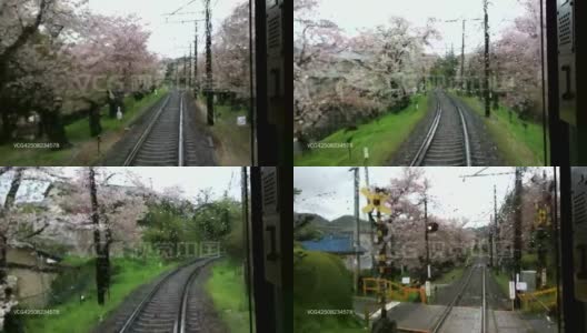 国内日本火车路过美丽的樱花树高清在线视频素材下载