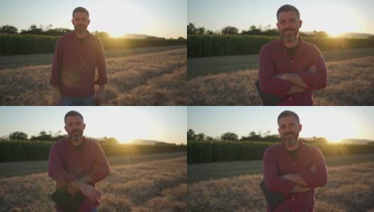 一个中年现代农民的肖像，站在麦田里双臂交叉在日落高清在线视频素材下载