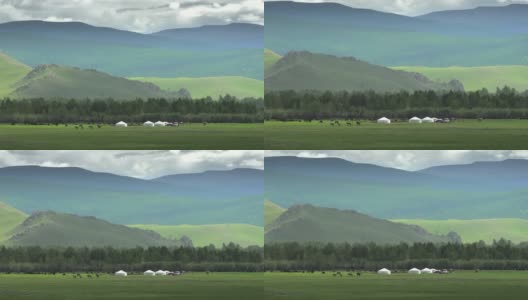 蒙古包帐篷，马和动物在蒙古地理大山谷高清在线视频素材下载