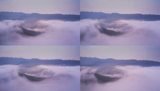 云雾缭绕的加州海岸红杉森林的树梢-航拍高清在线视频素材下载