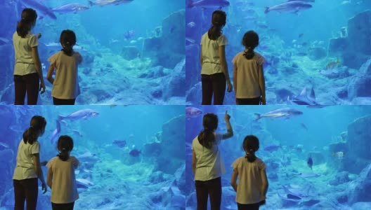 孩子们在一个巨大的水族馆里看鱼高清在线视频素材下载