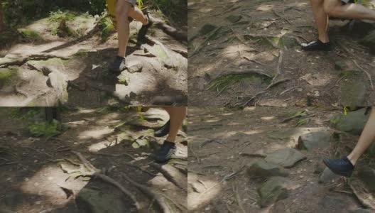 一个人的腿，沿着树根沿着山路走。替身拍摄高清在线视频素材下载