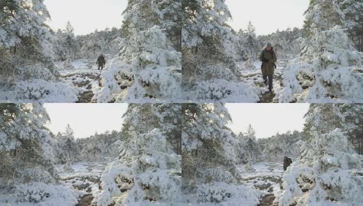 埃斯波附近白雪覆盖的森林。芬兰高清在线视频素材下载