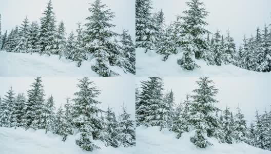 美丽的冬季景观和白雪覆盖的树木。冬天的山。高清在线视频素材下载