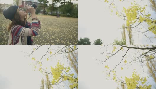 女人用相机拍摄银杏树高清在线视频素材下载