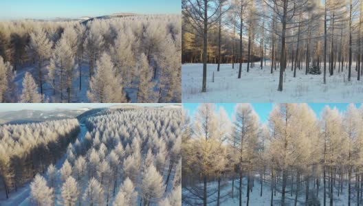 被雪覆盖的森林的实时/航拍图像高清在线视频素材下载