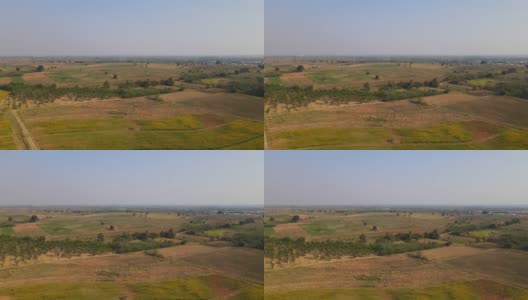 泰国油菜籽种植园和农田;空中4 k镜头。高清在线视频素材下载