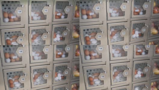 自动售卖白鸡蛋和棕鸡蛋的机器。出售含有新鲜卵子的特殊细胞高清在线视频素材下载