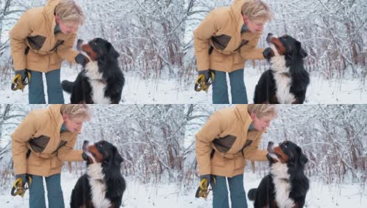 一名女子在积雪的森林里抚摸和拥抱她的伯尔尼山狗——慢镜头。高清在线视频素材下载