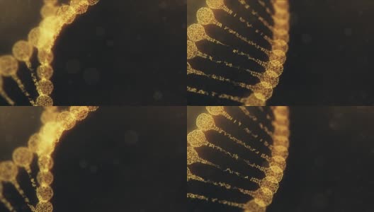 旋转丛DNA链-金橙色版本高清在线视频素材下载