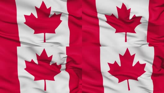 逼真的3d无缝环加拿大国旗在风中飘扬。高清在线视频素材下载