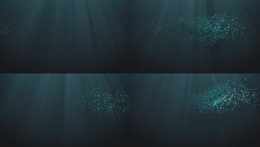 抽象背景动画-水下鱼群高清在线视频素材下载