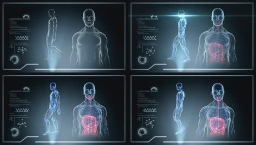 男性解剖-人类消化扫描-股票视频高清在线视频素材下载