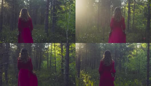 穿着红衣服的年轻女子在森林里散步高清在线视频素材下载