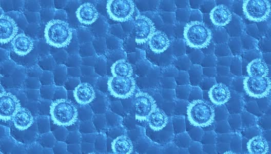 细菌、病毒、细胞在蓝色背景上流动的动画，医疗保健的概念研究高清在线视频素材下载