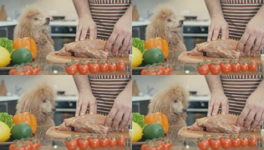 Cinemagraph -人与狗准备肉在厨房。高清在线视频素材下载