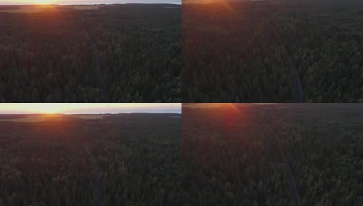 北欧松树林中公路的鸟瞰图。高清在线视频素材下载