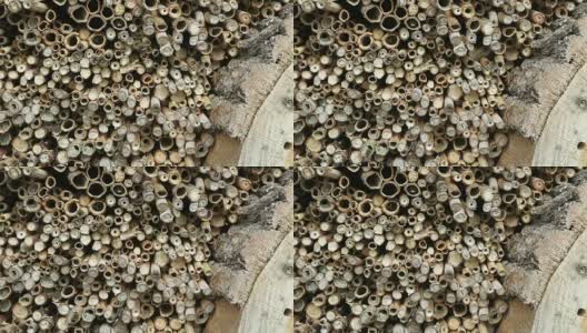 春天，野蜜蜂在昆虫旅馆前飞舞。男性壁蜂采bicornis。高清在线视频素材下载