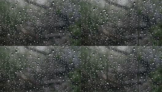 雨落在窗外绿树成荫的玻璃上。特写镜头。缓慢的运动。雨水打在玻璃上。雨滴落在车窗背景上。高清在线视频素材下载