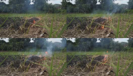 大火烧毁了一个小村庄里的干草、芦苇和大米。火灾和自然灾害。农夫烧草给田地施肥高清在线视频素材下载