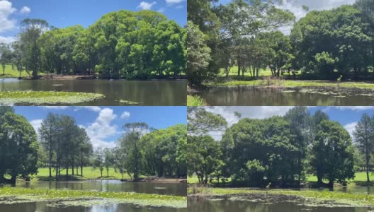 乡村绿树成荫的池塘大坝高清在线视频素材下载