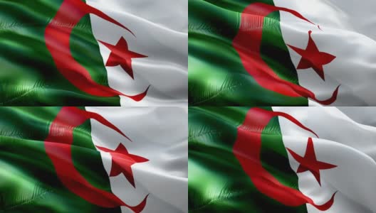 阿尔及利亚国旗。国家3d阿尔及利亚国旗挥舞。阿尔及利亚无缝循环动画标志。阿尔及利亚国旗HD背景。阿尔及利亚国旗特写1080p全高清视频演示。胜利日阿尔及利亚国旗高清在线视频素材下载