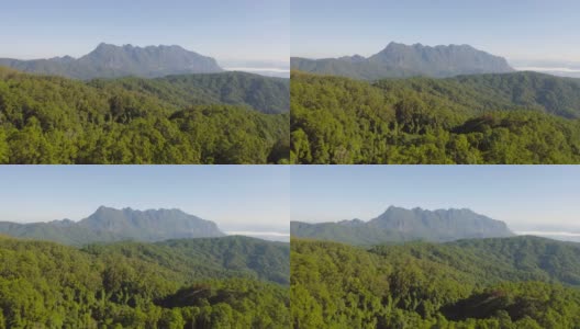 Doi Luang Chiang Dao，清迈，泰国有森林树木和绿色的山脉。自然景观背景。高清在线视频素材下载
