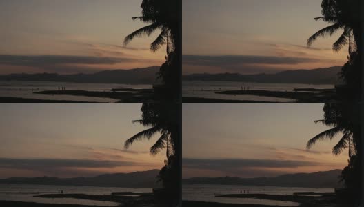 日出热带岛屿海滩和棕榈树，巴厘岛高清在线视频素材下载