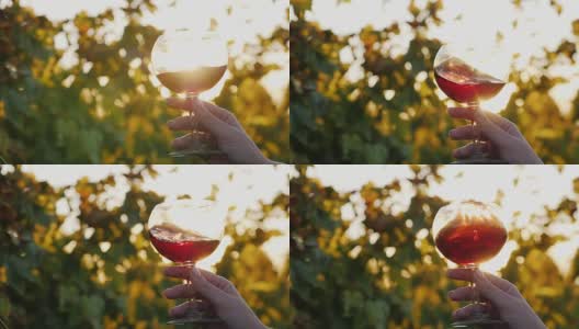 日落时分品酒。在葡萄园的背景下，手拿一杯红酒高清在线视频素材下载