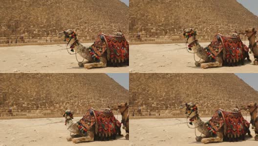 在埃及吉萨，大金字塔的时间在日落时流逝高清在线视频素材下载