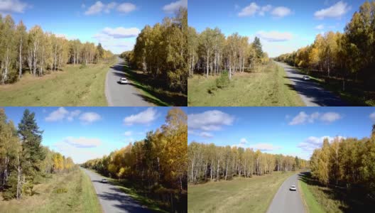 无人机在桦树林中蜿蜒的道路上跟随汽车行驶高清在线视频素材下载