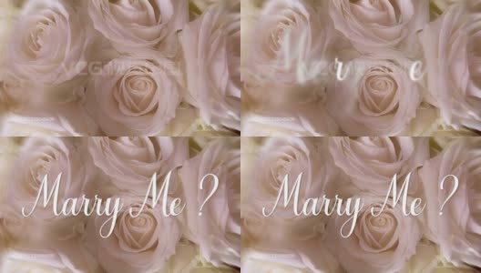 “嫁给我?”短信动画，4K视频循环。高清在线视频素材下载
