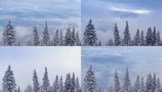 冰雪覆盖的树木构成了美丽的冬季景观。冬天的山。高清在线视频素材下载