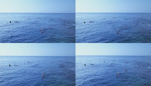 缓慢的运动。游客们在埃及红海的水面上游泳高清在线视频素材下载