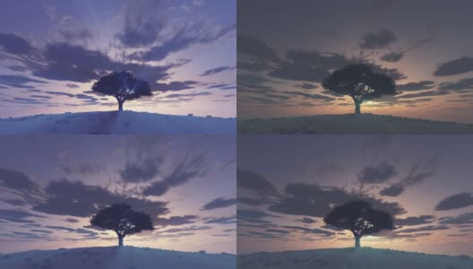 孤独的树在日落动画高清在线视频素材下载
