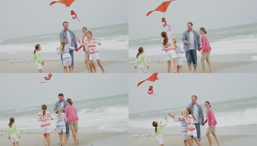 快乐的白种人家庭在户外沙滩上放风筝高清在线视频素材下载