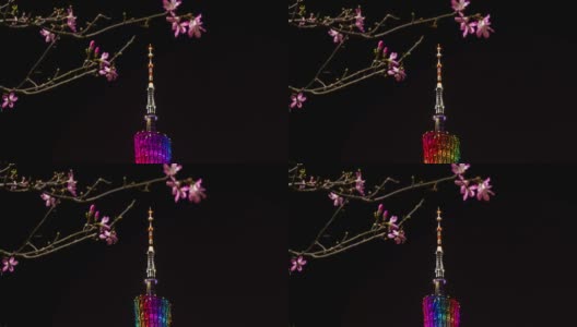 夜广州广州塔顶樱花观景4k时光中国高清在线视频素材下载
