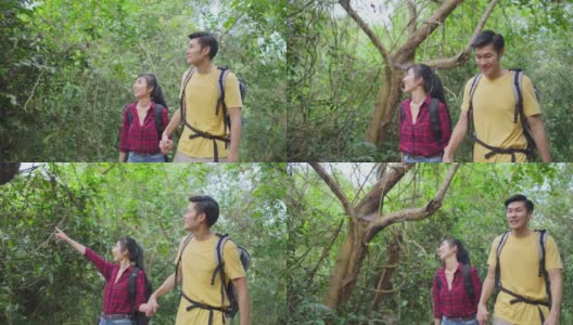 年轻的亚洲男人和女人朋友一起在森林里旅行。情侣们在大自然中感受清新和放松，看着窗外的风景，然后带着幸福和乐趣继续散步。高清在线视频素材下载
