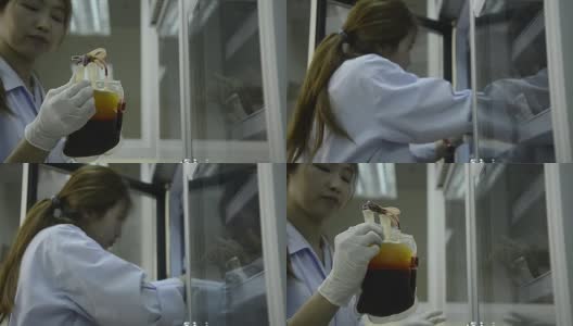 亚洲医疗技术员女子做质量控制期间的血袋储存冰箱在实验室医院高清在线视频素材下载