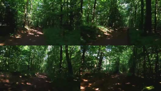 4K:在森林里骑车高清在线视频素材下载