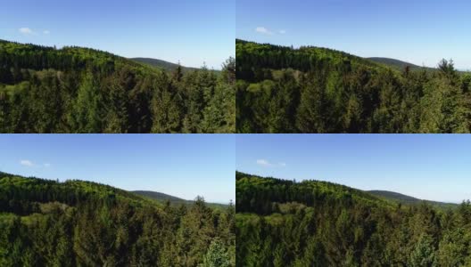 森林从上面-森林鸟瞰图。高清在线视频素材下载