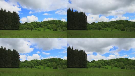 时间流逝的春天草地在比利牛斯乡下，法国高清在线视频素材下载