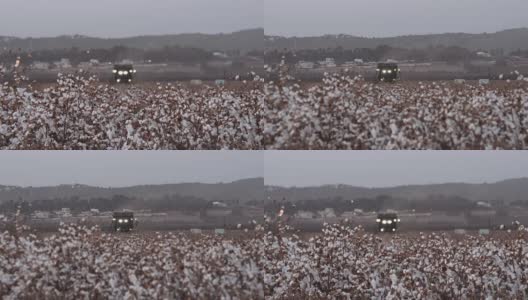 棉花收割机在收获棉花时的日落高清在线视频素材下载