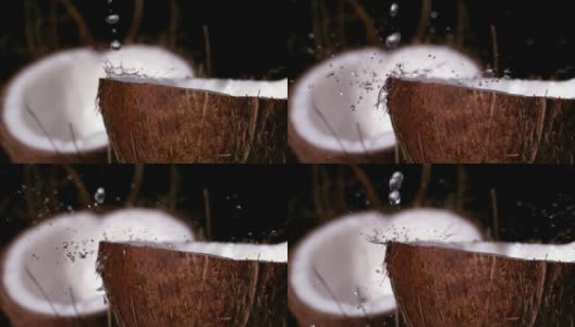 在黑色的背景下，雨水落在椰子上高清在线视频素材下载