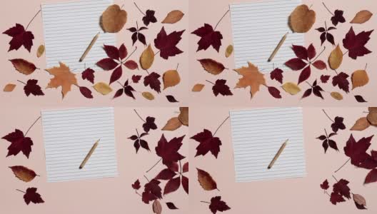 空纸与铅笔和彩色的秋叶在粉红色的背景。风吹走了树叶。重返校园的概念高清在线视频素材下载