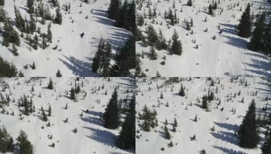 在雪山上拉雪车的人高清在线视频素材下载