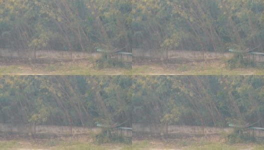 泰国的热带暴雨。雨,墙高清在线视频素材下载