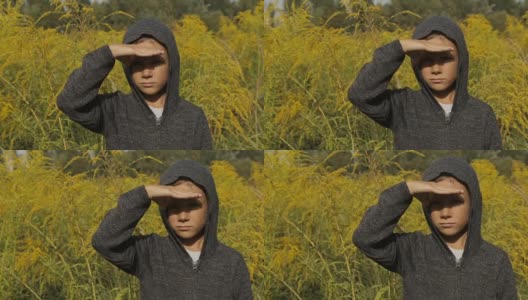一个男孩在高高的草丛里，穿着灰色的毛衣，头上戴着兜帽高清在线视频素材下载