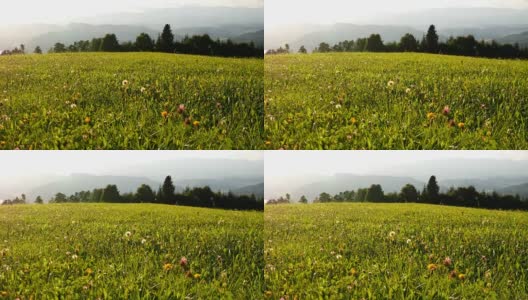 壮丽的奥地利阿尔卑斯山山景，观草地上绿草如茵高清在线视频素材下载