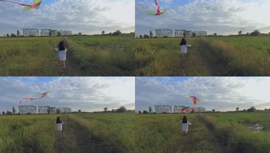 女孩们在田野中间放风筝。高清在线视频素材下载